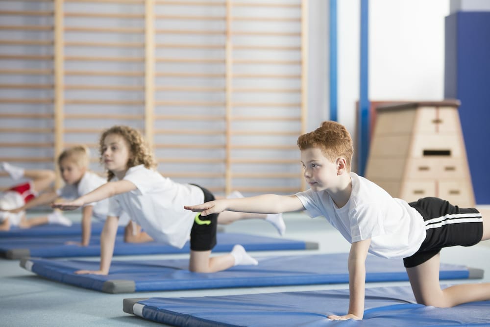 gymnastics at the olympics.